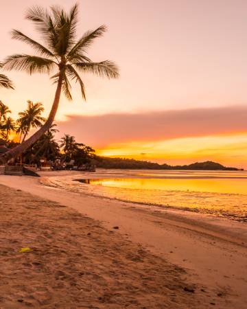 Goa